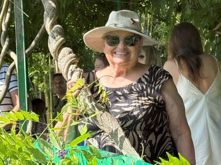 Charlotte's Painting Escapade to France!