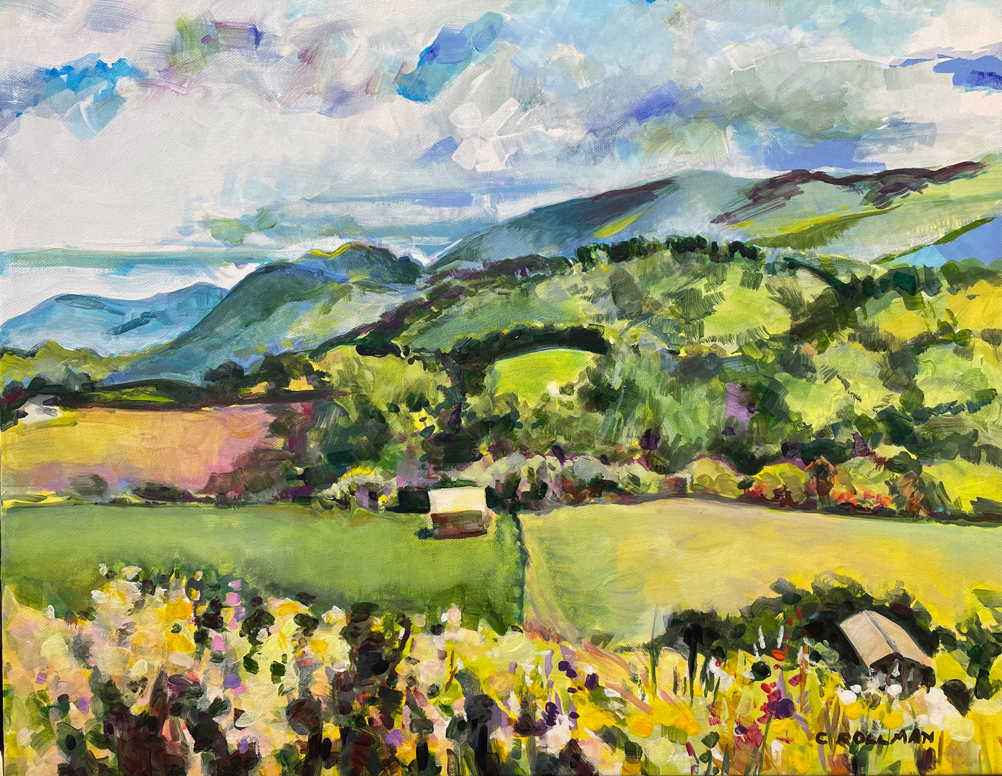 Mountain Wine  - Acrylic Painting by artist Charlotte Rollman 16x20