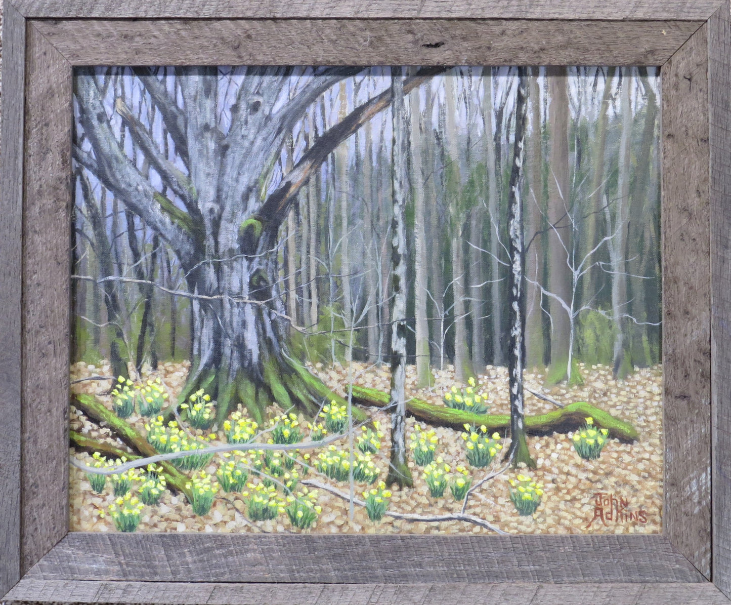 200 Year Old Oak - Oil Painting by artist John Adkins