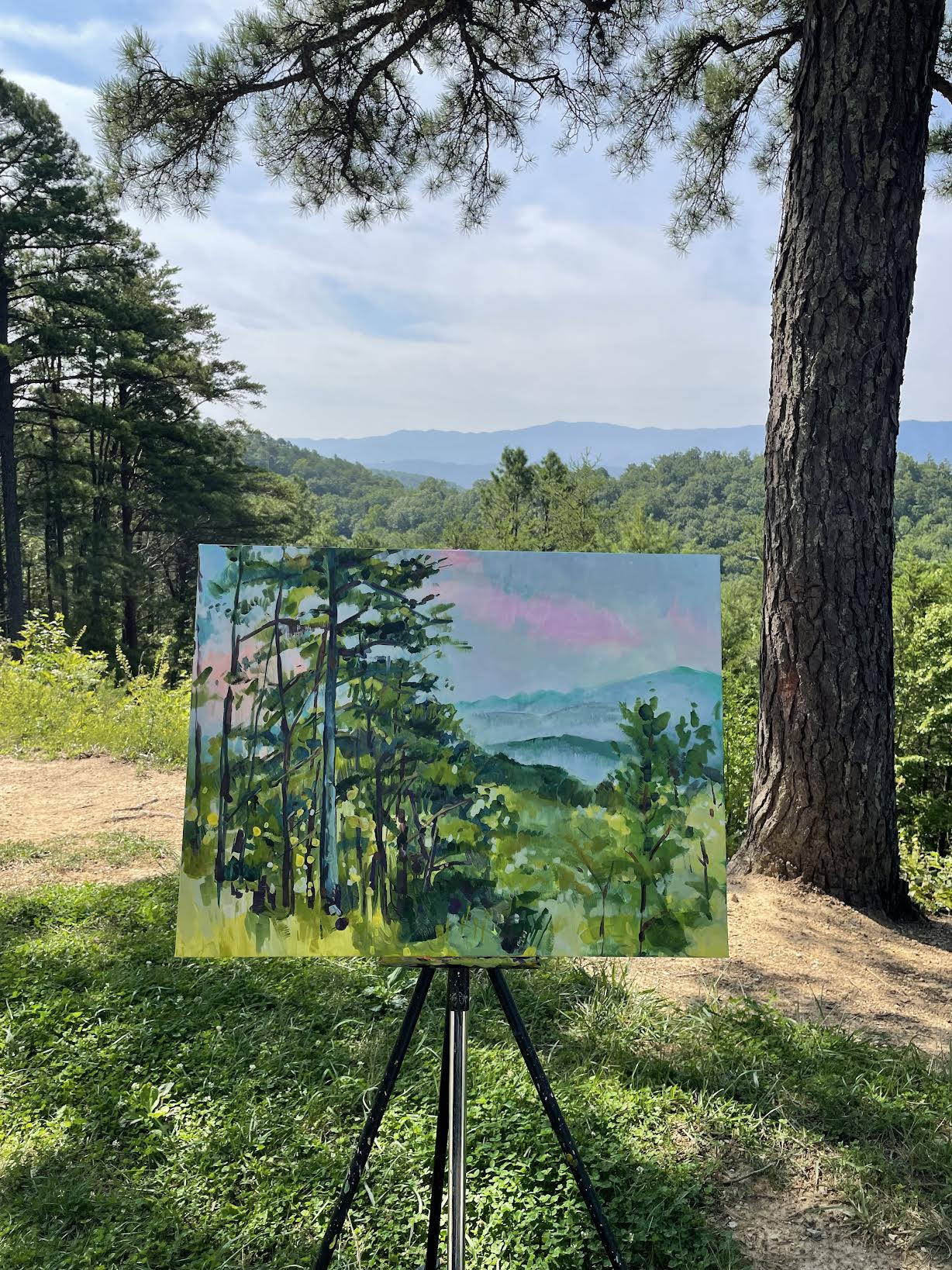 Foothills Morning - Acrylic Painting by artist Charlotte Rollman