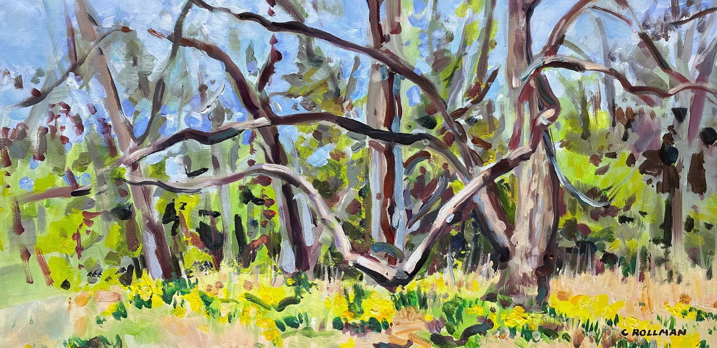 March Wind  - Acrylic Painting by artist Charlotte Rollman 12x24