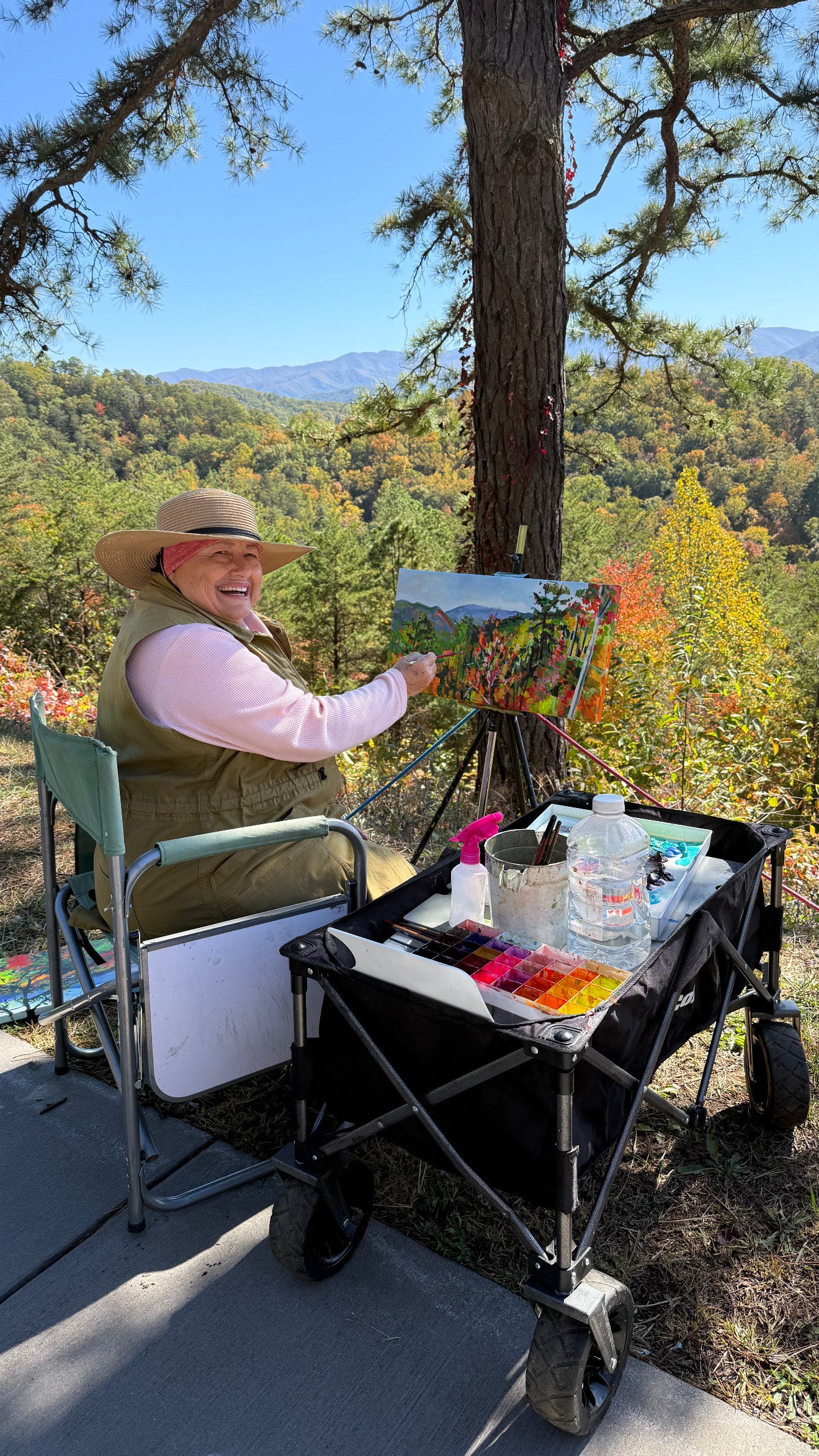 Afternoon Sunshine - Acrylic Painting by artist Charlotte Rollman