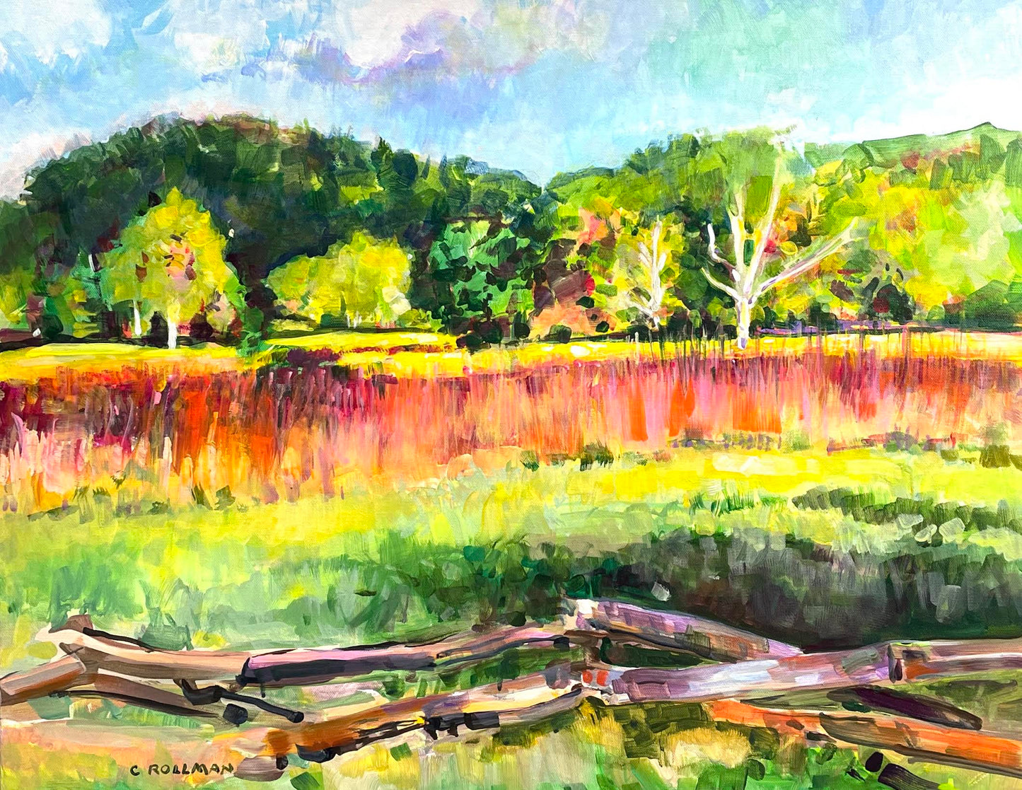 Becky's View to Abrams Creek  - Acrylic Painting by artist Charlotte Rollman