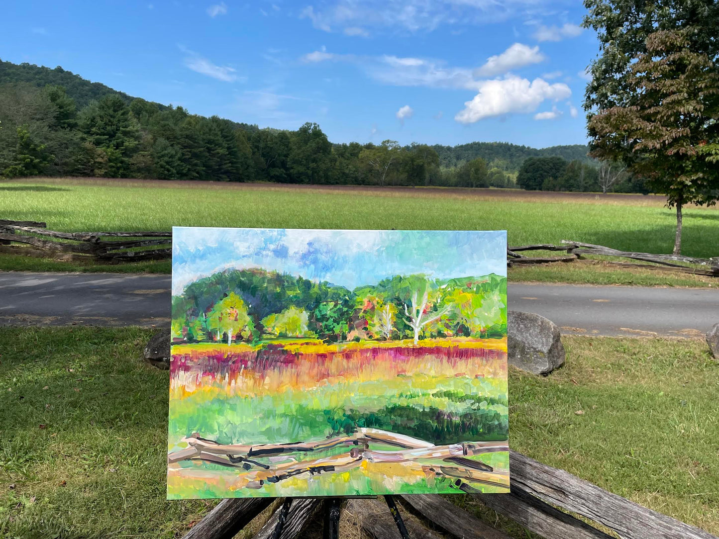 Becky's View to Abrams Creek  - Acrylic Painting by artist Charlotte Rollman