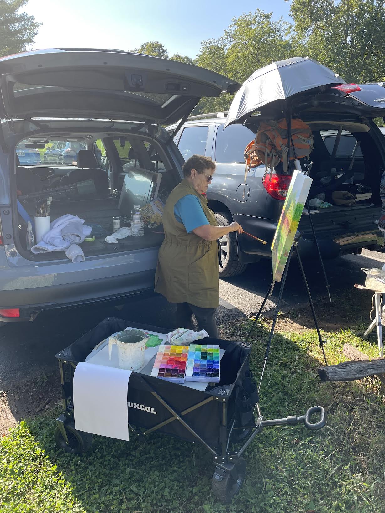 Becky's View to Abrams Creek  - Acrylic Painting by artist Charlotte Rollman
