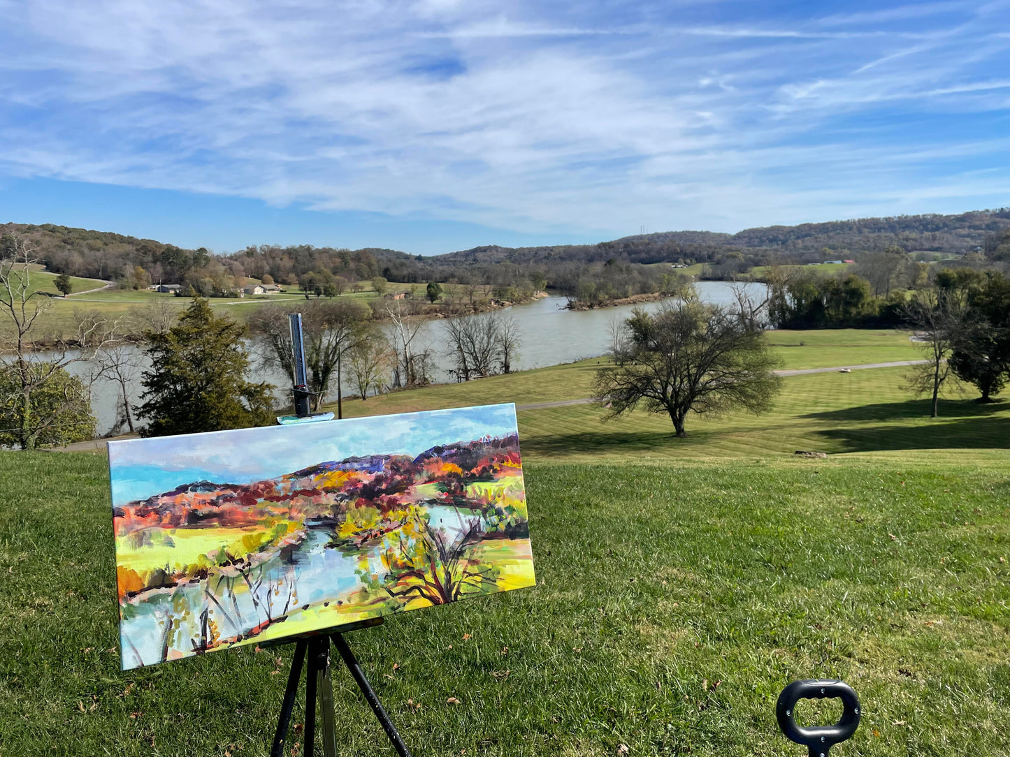 View from the White House  - Acrylic Painting by artist Charlotte Rollman