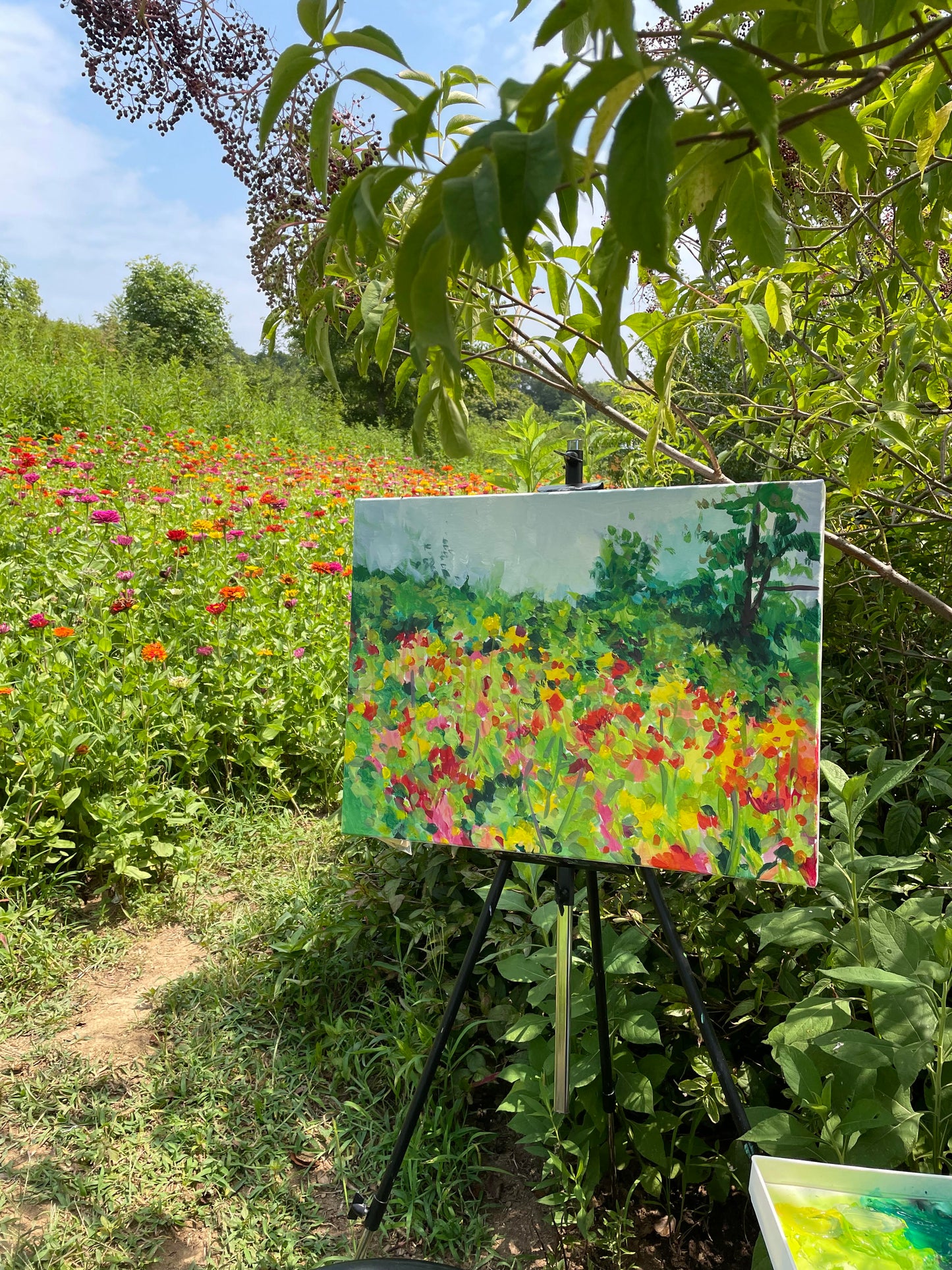 Seven Islands Zinnas  - Acrylic Painting by artist Charlotte Rollman