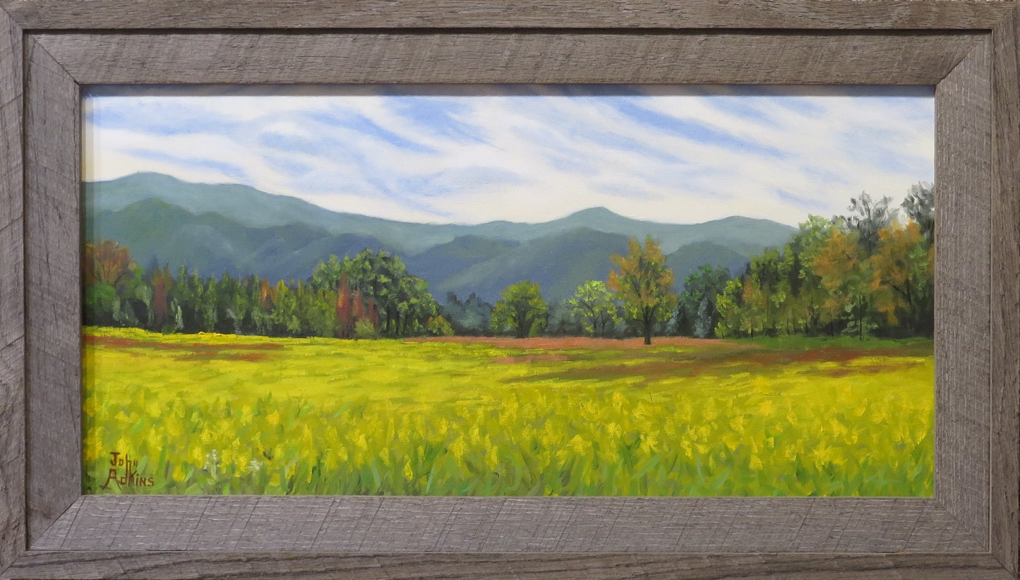 Abram's Falls Trail View  - Oil Painting by artist John Adkins