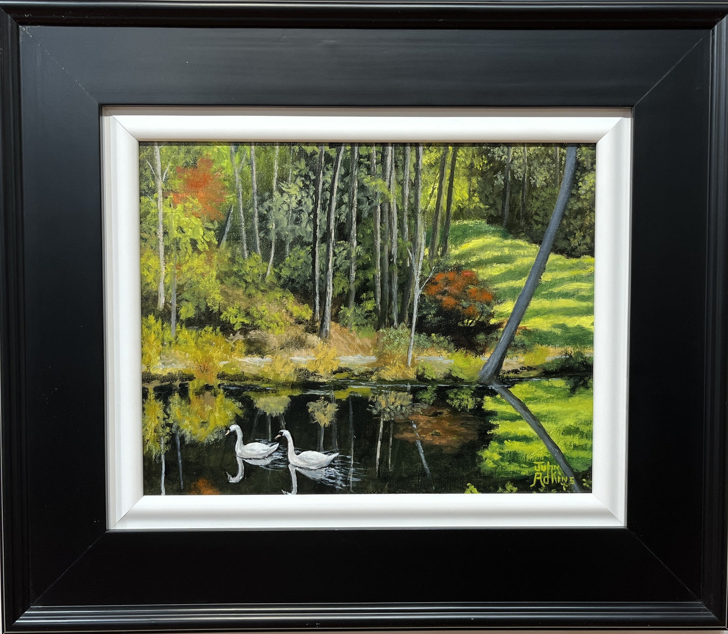 Buckhorn Swans  - Oil Painting by artist John Adkins