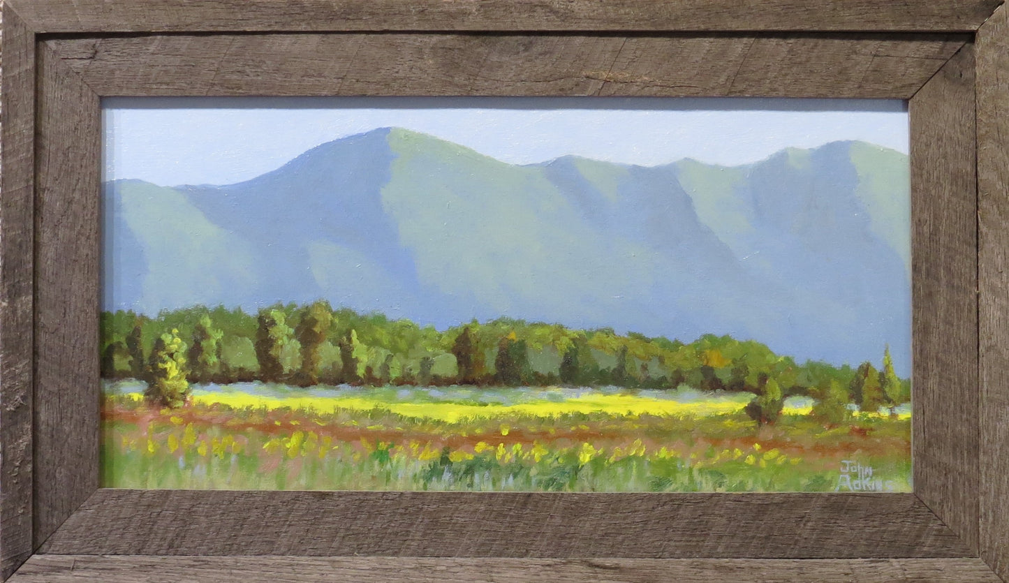 Cades Cove View  - Oil Painting by artist John Adkins