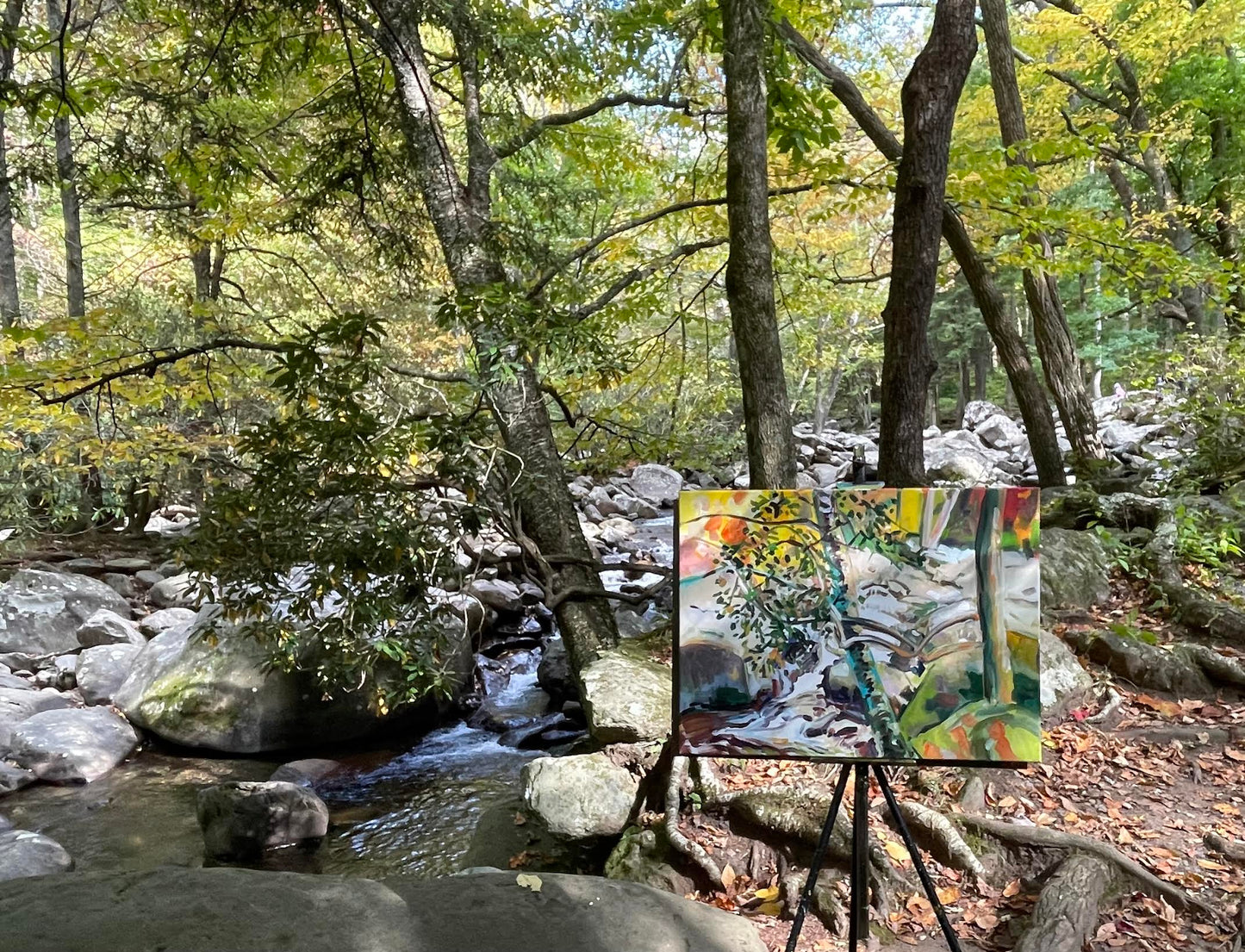Chimney Tops Picnic Afternoon - Acrylic Painting by artist Charlotte Rollman