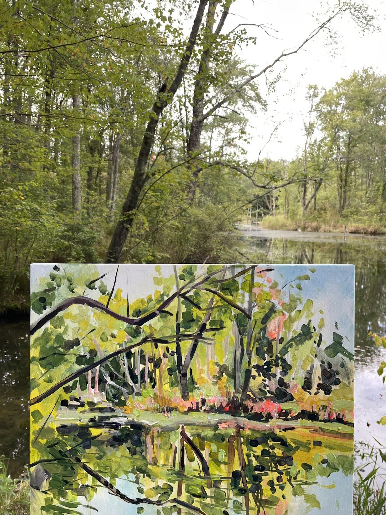 Cranberry Bogs  - Acrylic Painting by artist Charlotte Rollman