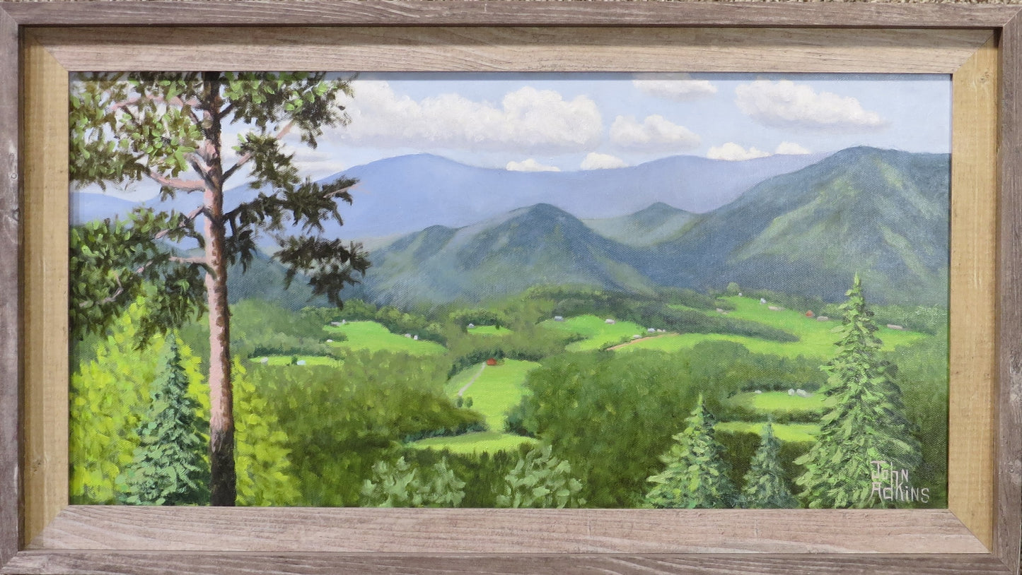 Foothills Townsend View - Oil Painting by artist John Adkins
