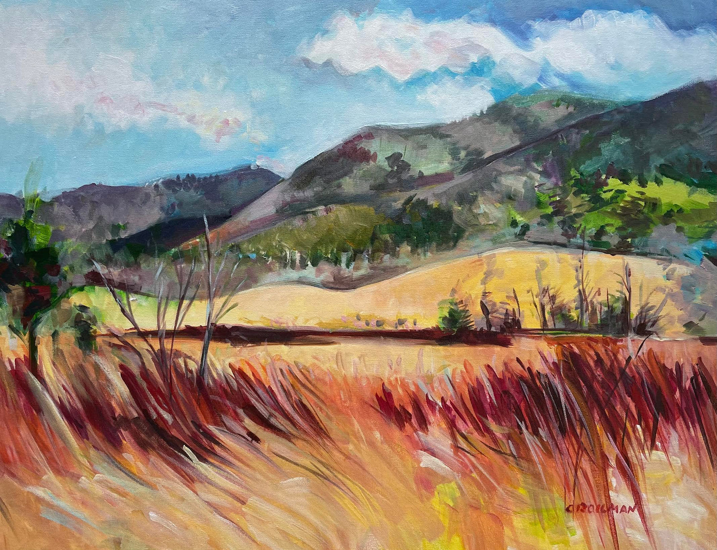 Hyatt Lane in the Winter - Acrylic Painting by artist Charlotte Rollman