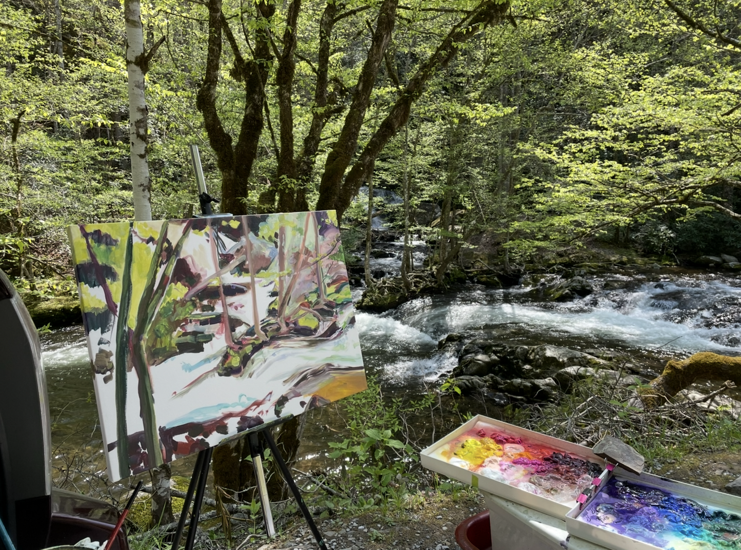 Spruce Flats Falls at Tremont - by artist Charlotte Rollman 18x24