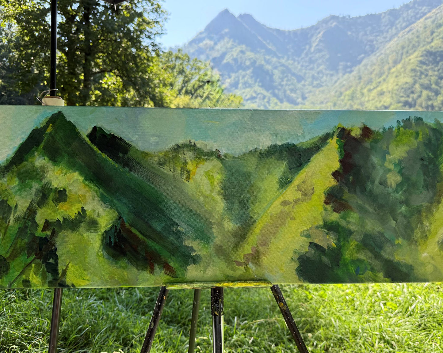 Chimney Tops Overlook - Acrylic Painting by artist Charlotte Rollman