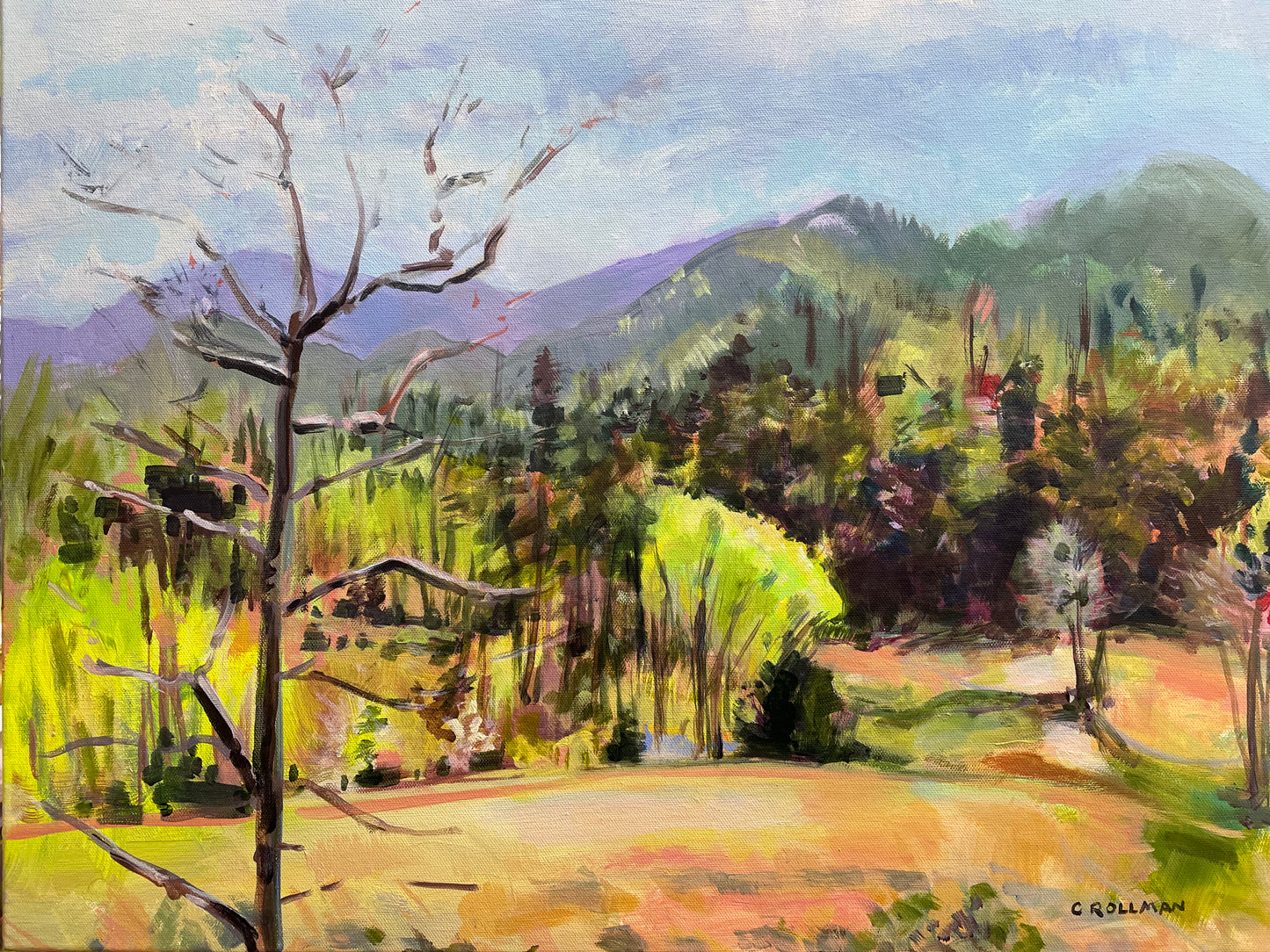 Wild Laurel Winds  - Acrylic Painting by artist Charlotte Rollman 18x24