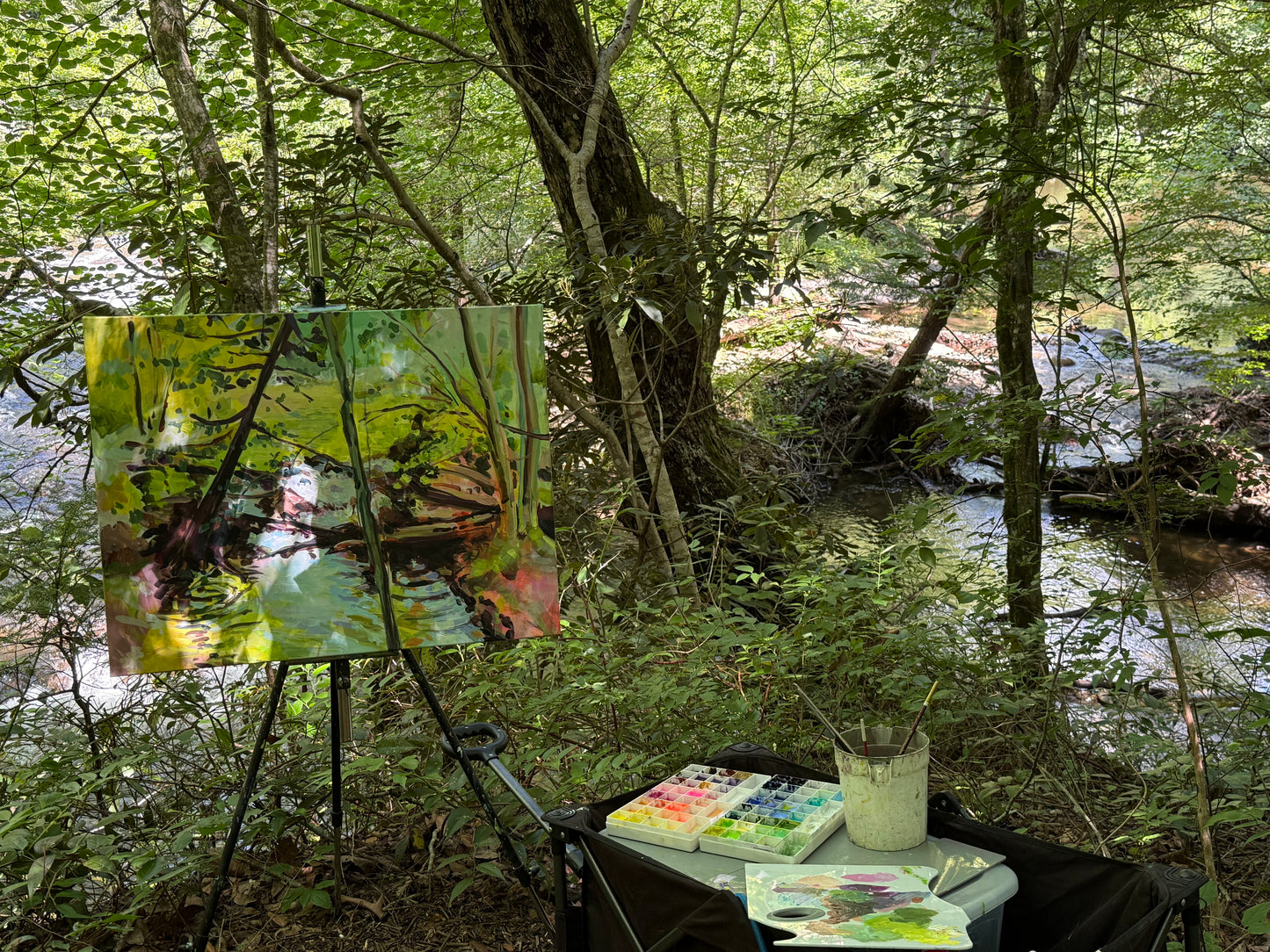 X's Mark the Spot  - Acrylic Painting by artist Charlotte Rollman 22x28 in Smoky Mountains.