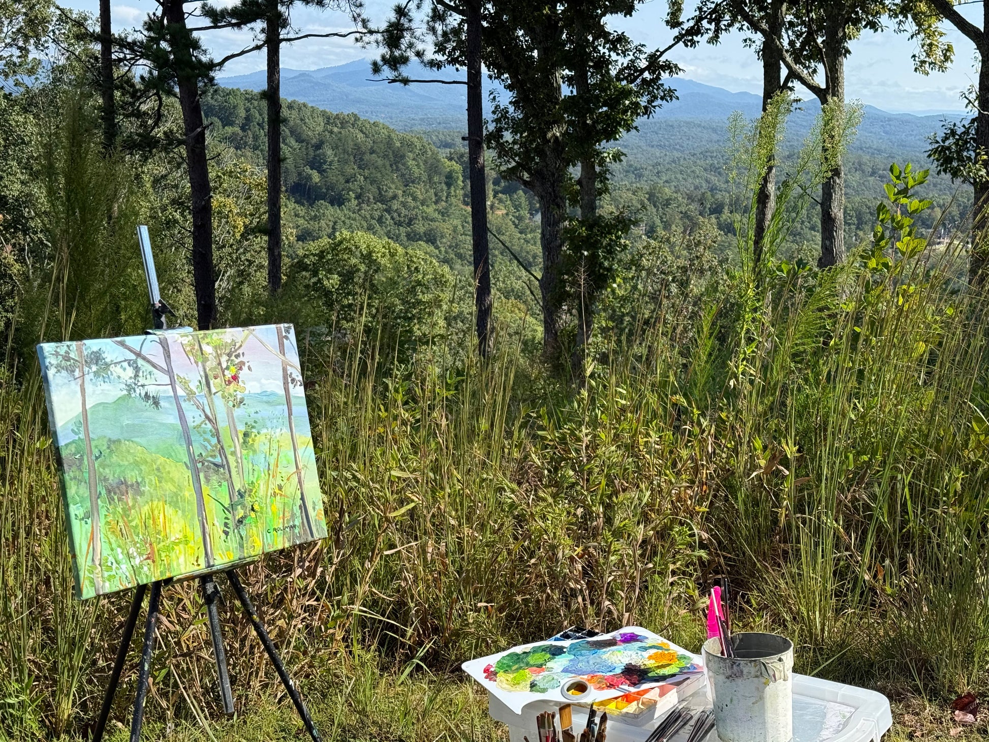 Mountain Horizon Line - Acrylic Painting by Artist Charlotte Rollman 16x20 in Smoky Mountains.
