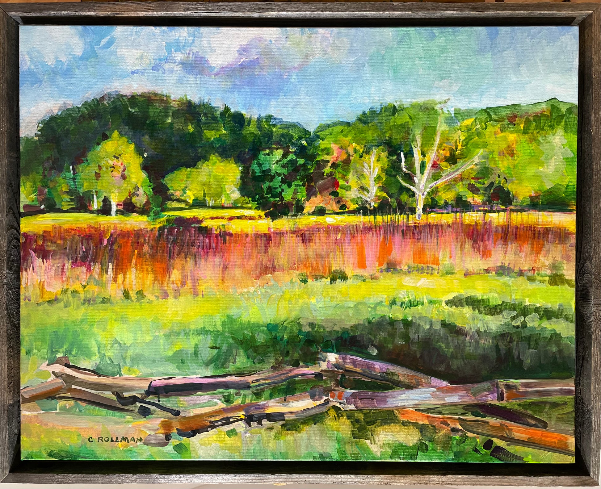 Acrylicn framed painting  in Great Smoky Mountains National Park.