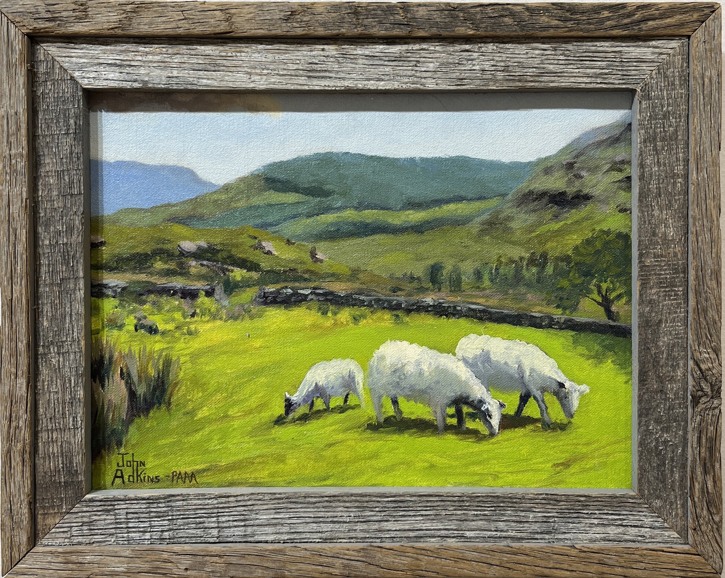 Mr. Murphy's Sheep (Ireland)