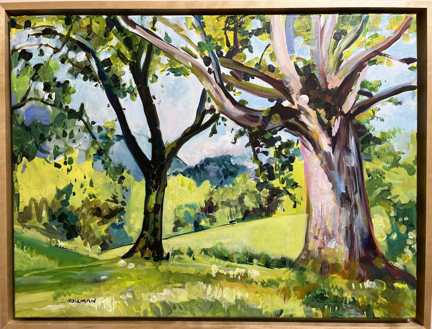 Tree Magic  - Acrylic Painting by artist Charlotte Rollman 18x24