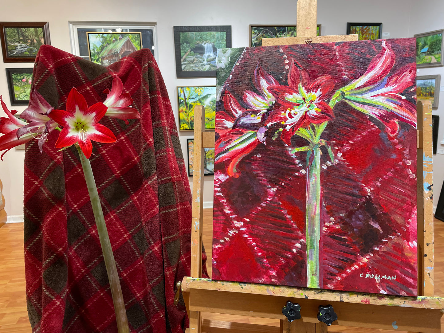 Red on Red  - Acrylic Painting by artist Charlotte Rollman 20x16