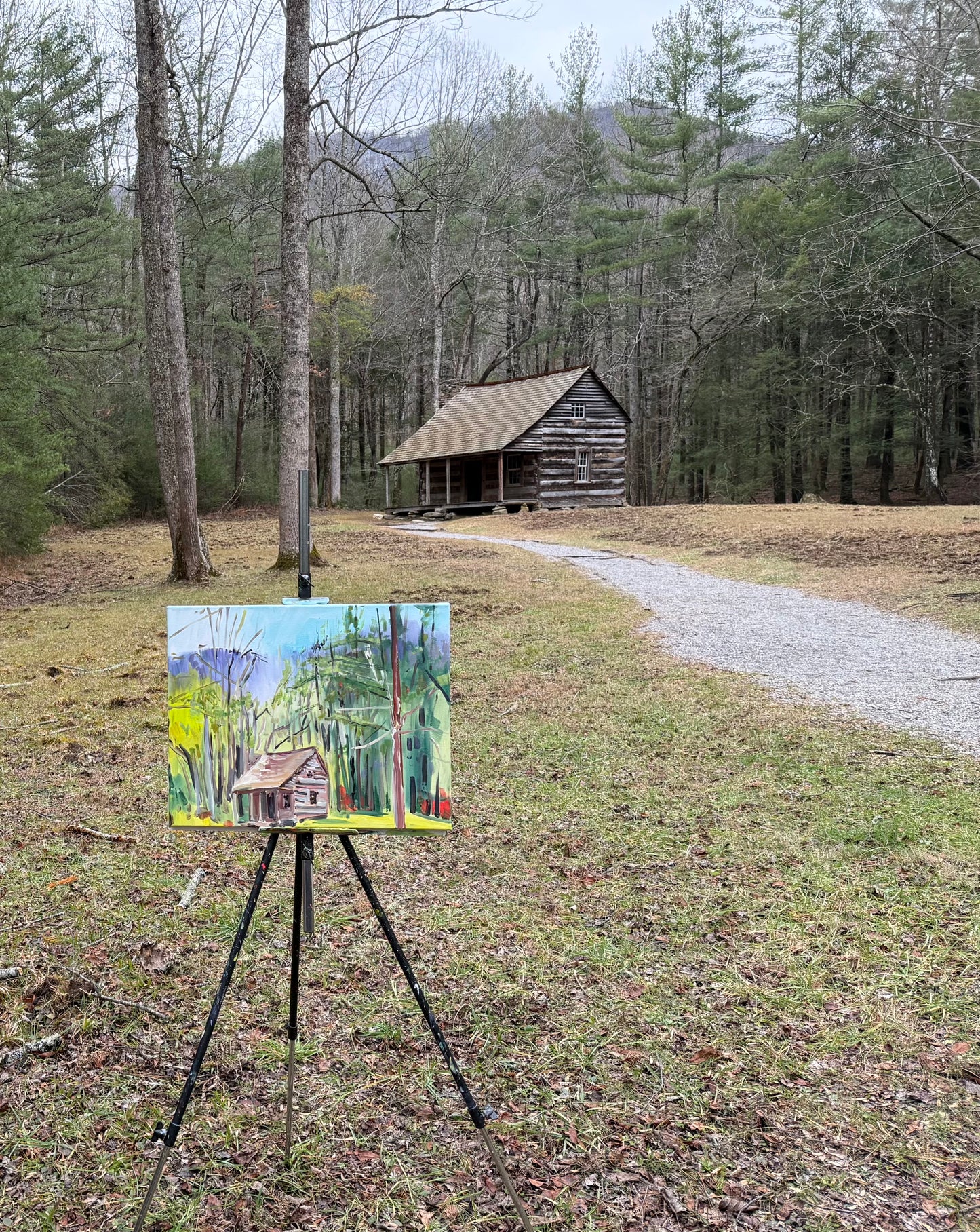 That's Snow Up There - Acrylic Painting by artist Charlotte Rollman 20x16