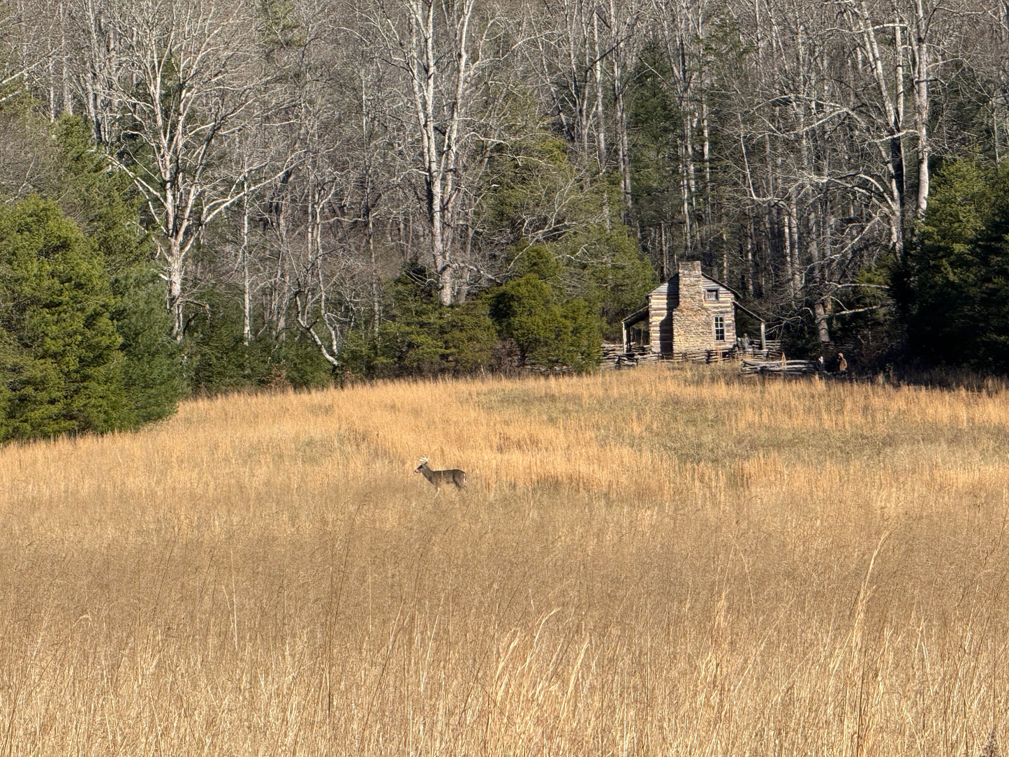Winter at John Oliver's - Acrylic Painting by artist Charlotte Rollman 12x24