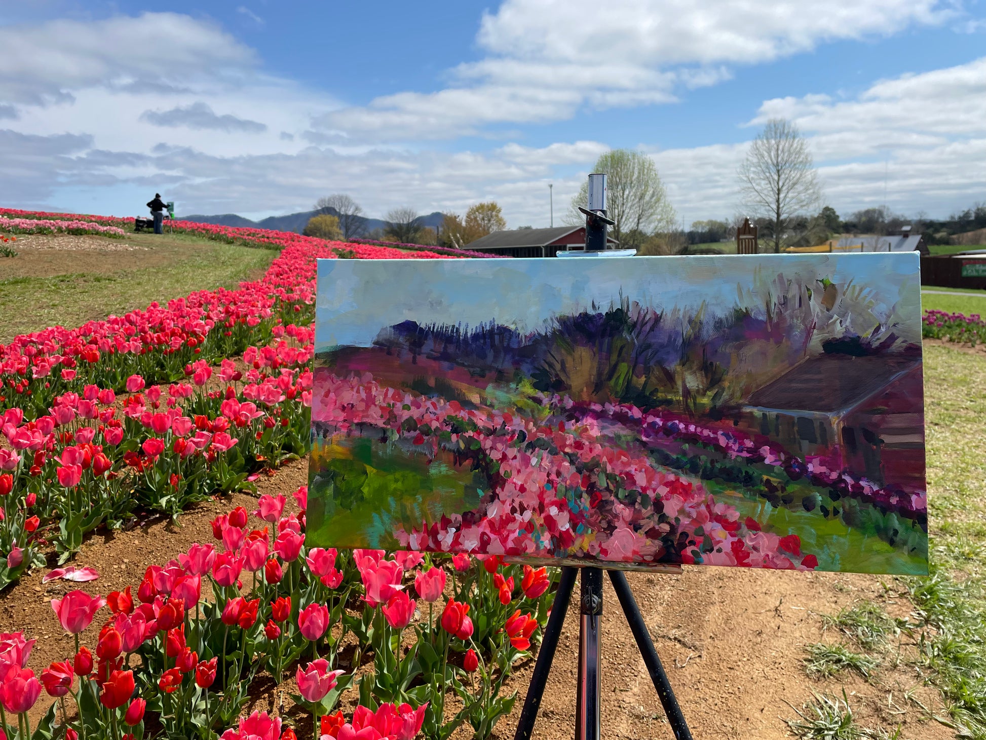 Painting by Charlotte Rollman - Adkins Rollman Gallery. First Tulip Festival  - Acrylic Painting by artist Charlotte Rollman. Oakes Farm in Tennessee.