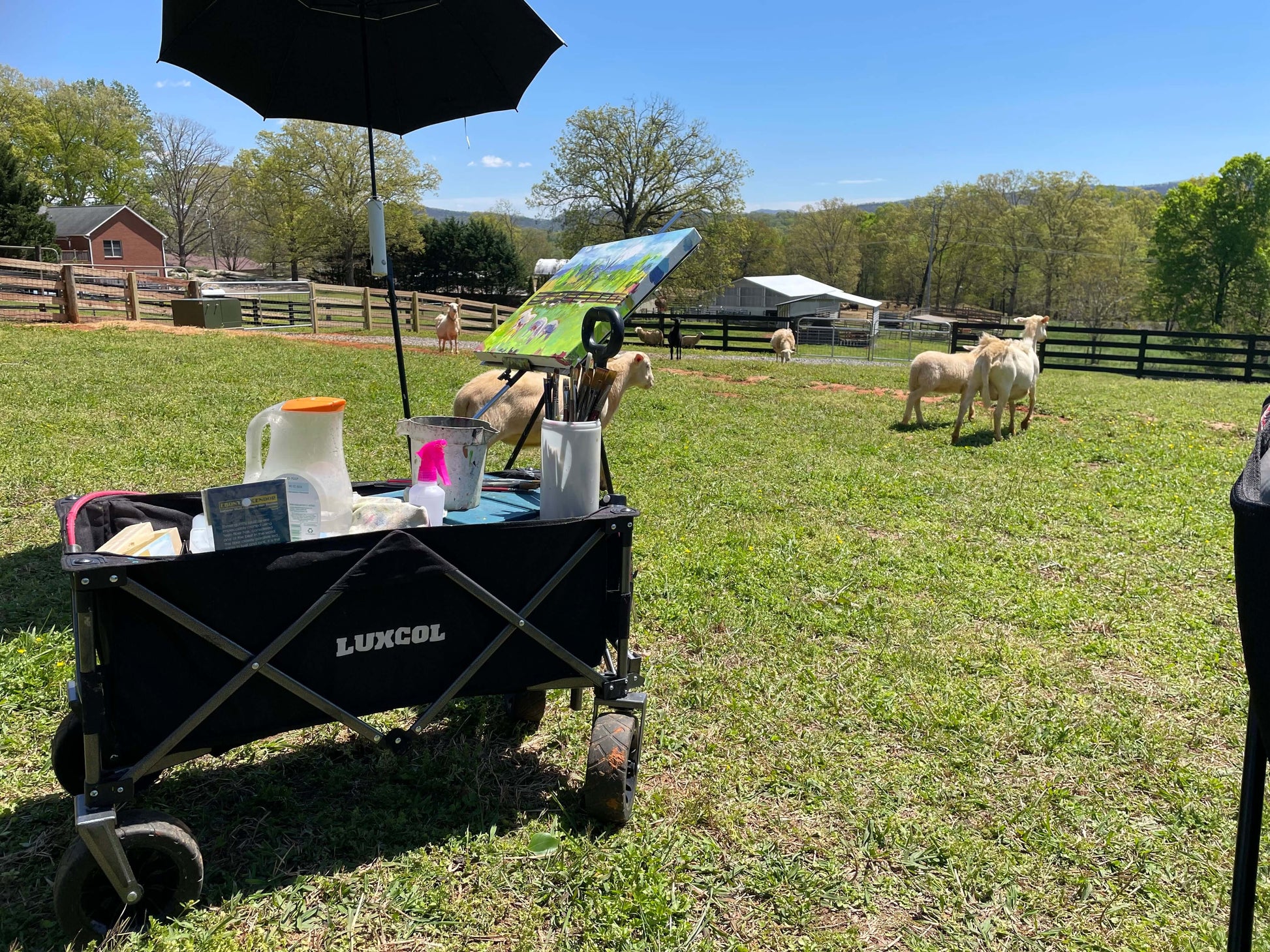 Painting by Charlotte Rollman - Adkins Rollman Gallery. Amazing Graze Farm in Maryville,Tennessee