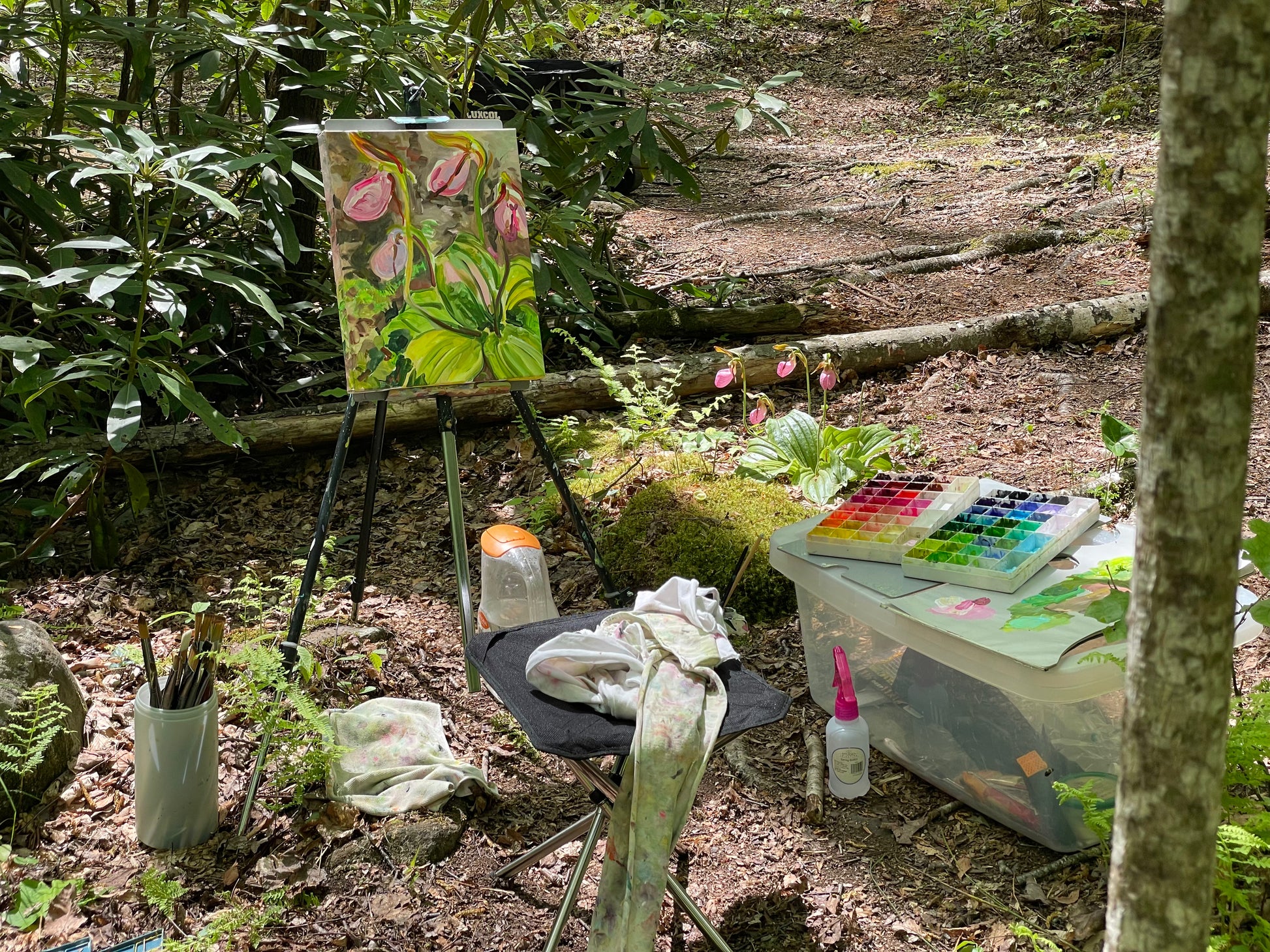Lady Slippers Conversation - Acrylic Painting by artist Charlotte Rollman. Pink. In Smoky Mountains.