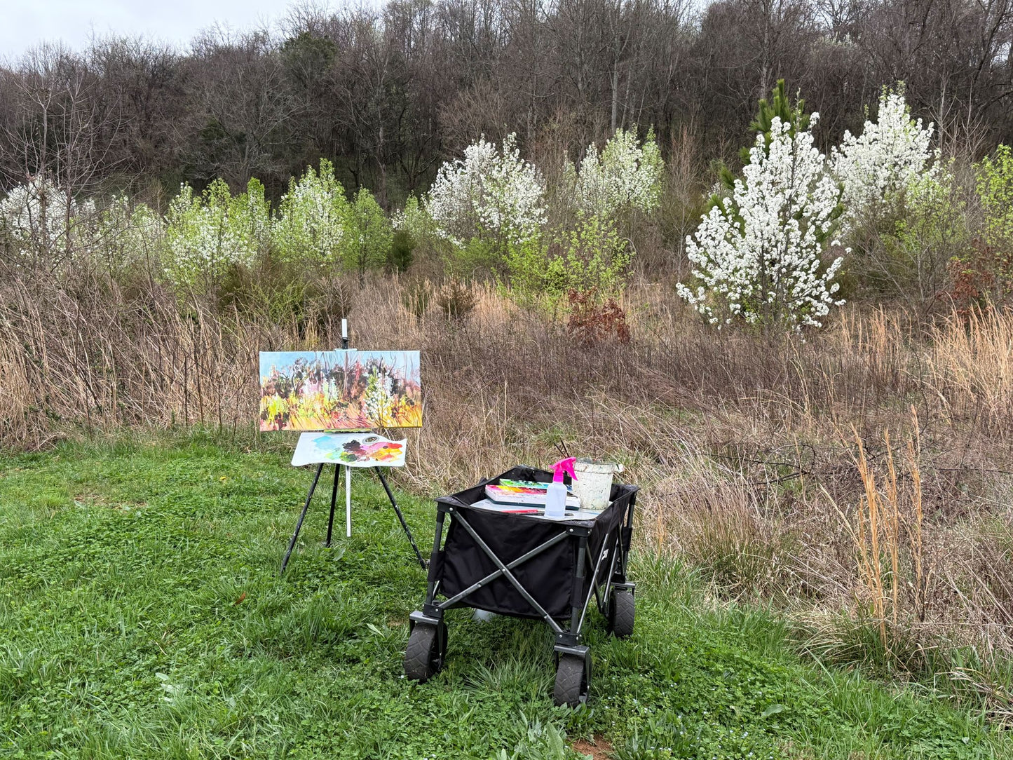 Ode to Spring - Acrylic Painting by artist Charlotte Rollman 12x24