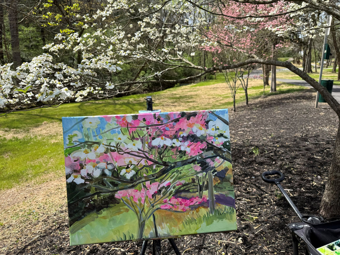Dogwood Spring - Acrylic Painting by artist Charlotte Rollman 18x24