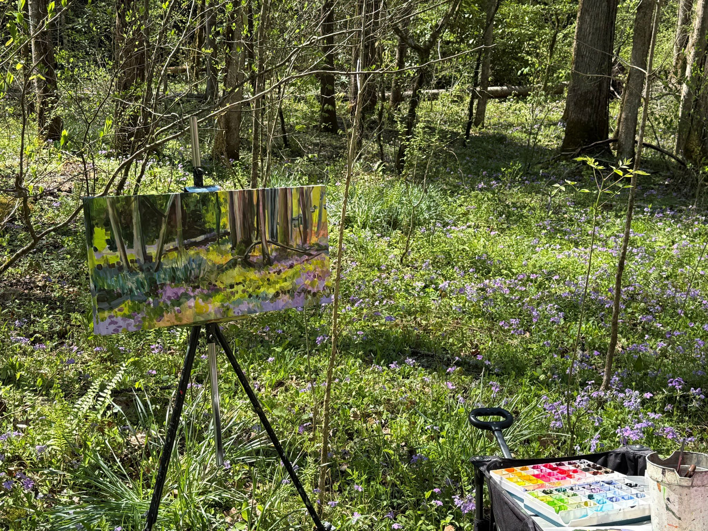 Spot On - Acrylic Painting by artist Charlotte Rollman 12x24