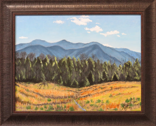 Ogle Road Mt. View - Oil Painting by artist John Adkins