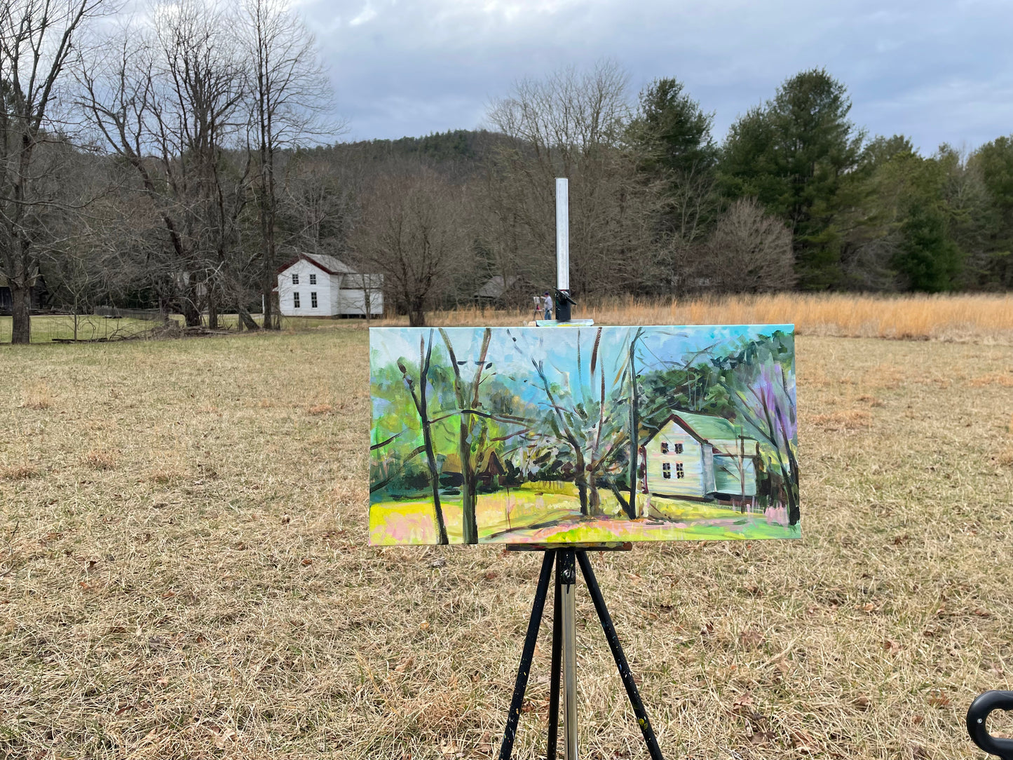 Becky's Place in the Cove  - Acrylic Painting by artist Charlotte Rollman