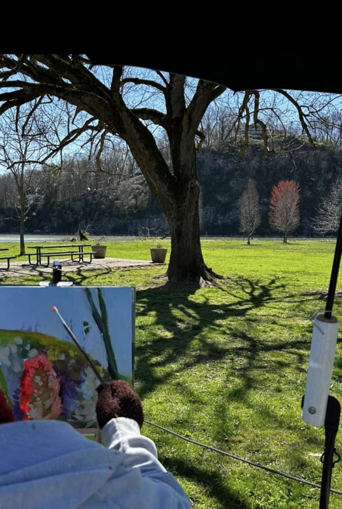 Red Maple on the River  - Acrylic Painting by artist Charlotte Rollman