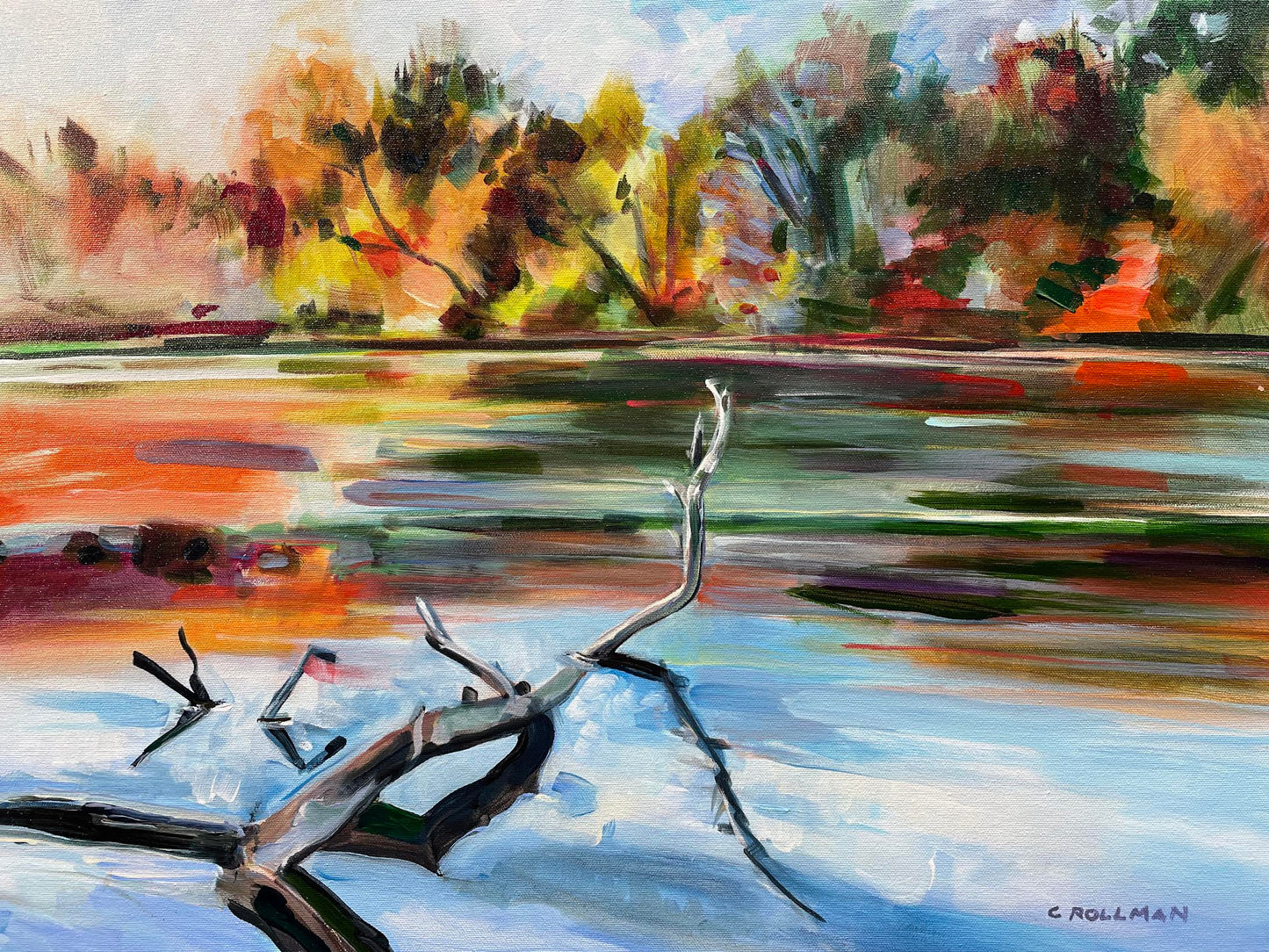 Sequoyah River View - Acrylic Painting by artist Charlotte Rollman
