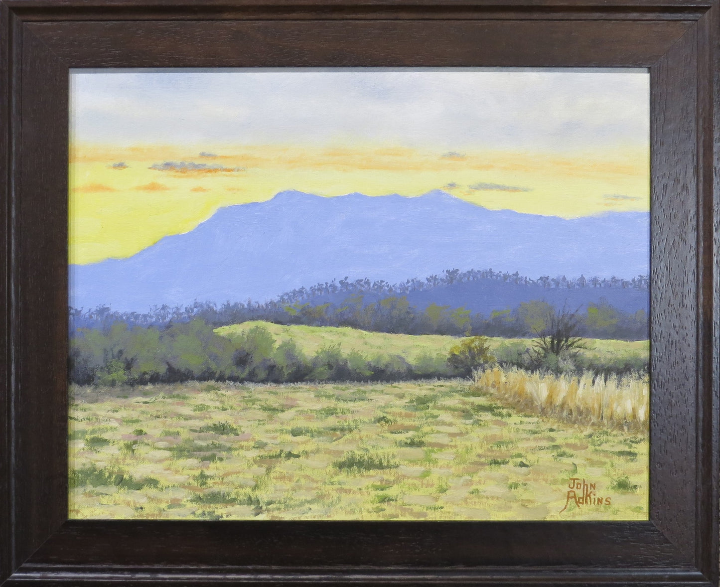 Spring Morning Mt. LeConte - Oil Painting by artist John Adkins