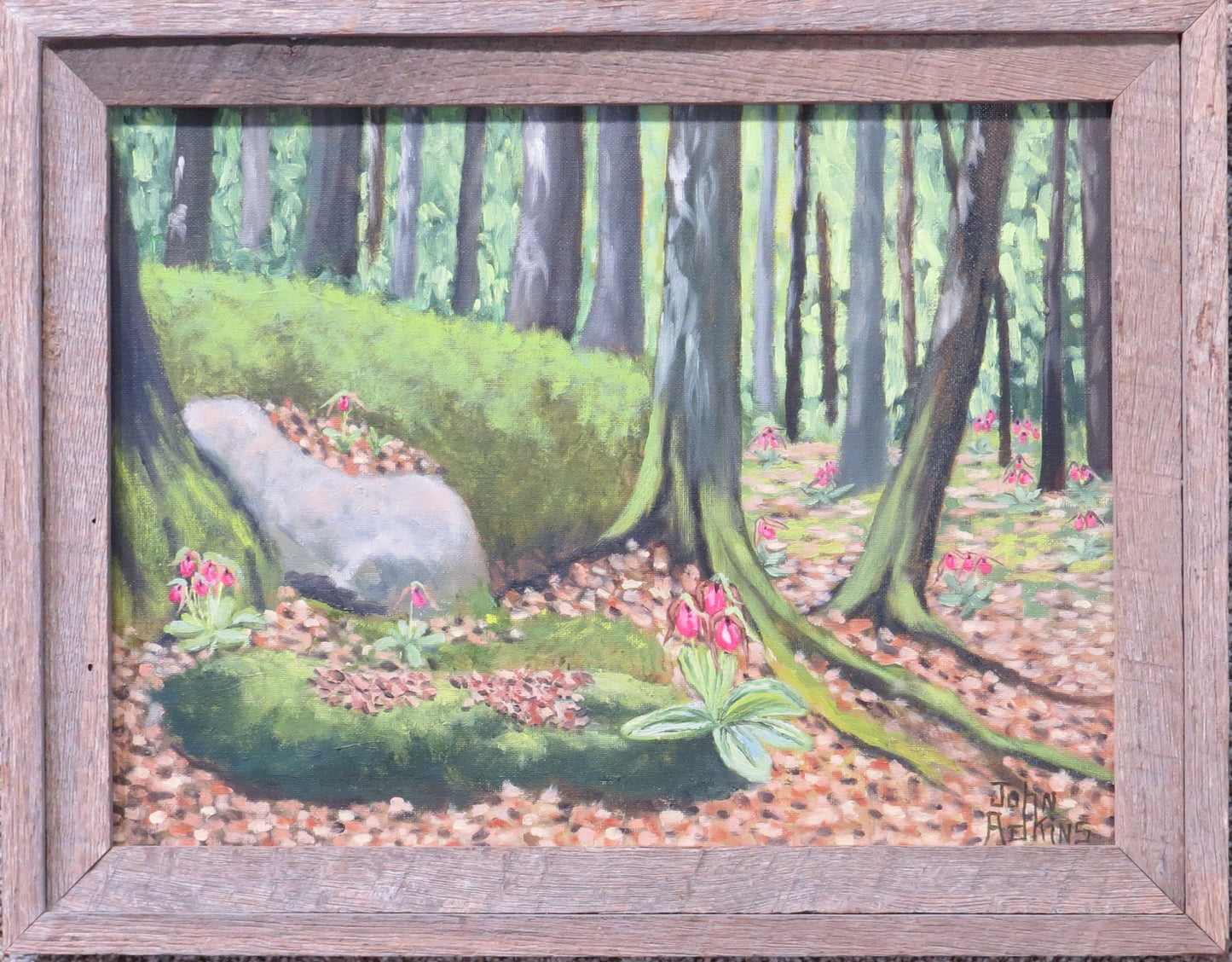 Where the Pink Ladies Live - Oil Painting by artist John Adkins