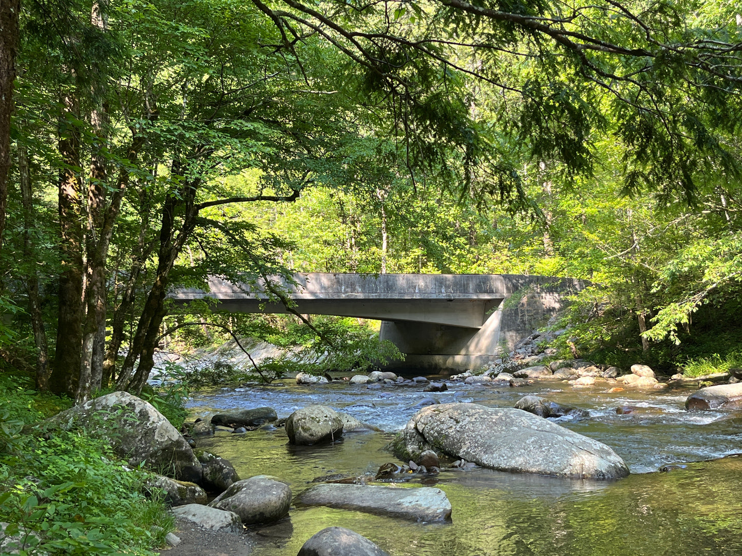 Swimming Hole at Tremont - Oil Painting by artist John Adkins