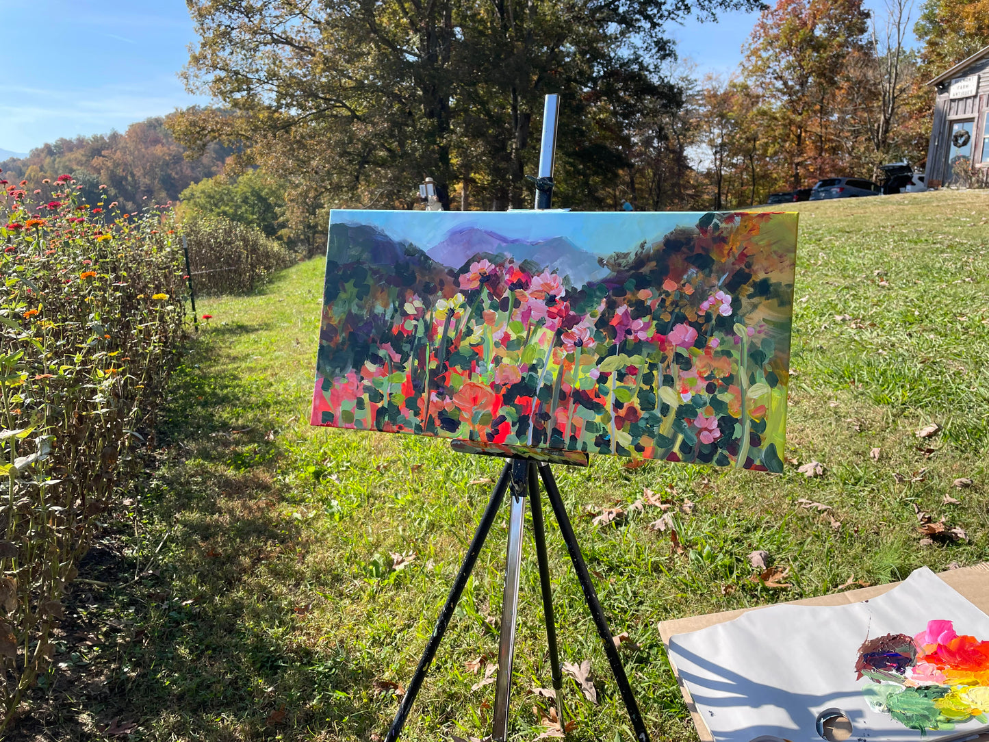 Mountain Garden