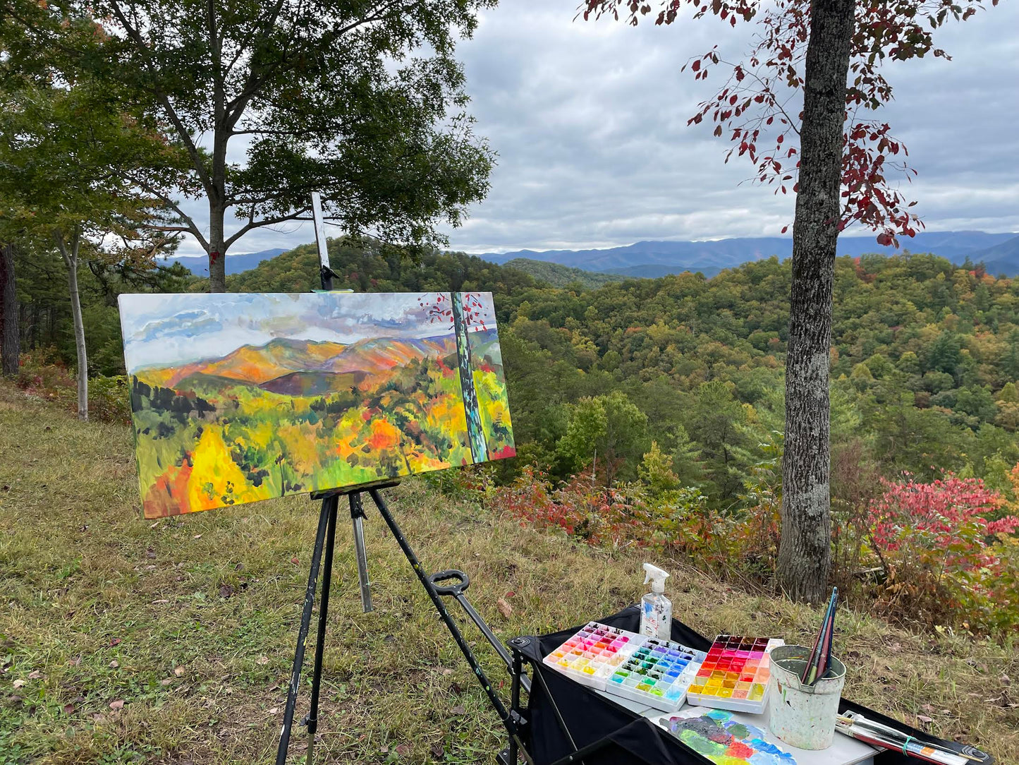 Foothills Parkway Afternoon