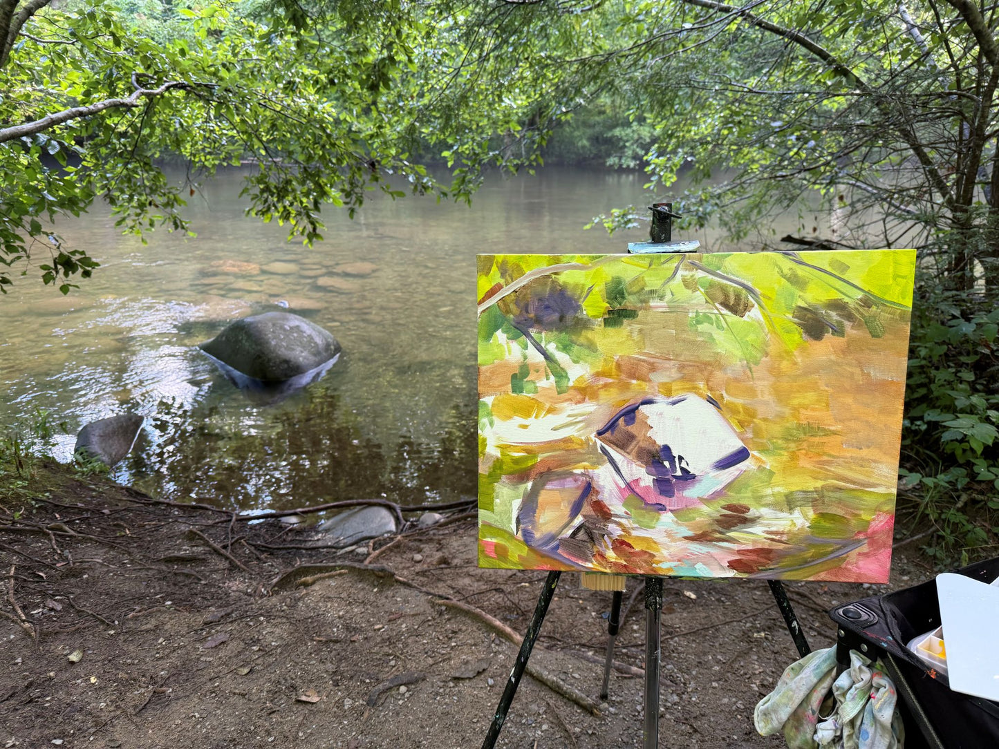 Fog on the Little River  - Acrylic Painting by artist Charlotte Rollman