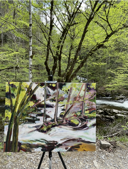 Spruce Flats Falls at Tremont - by artist Charlotte Rollman 18x24