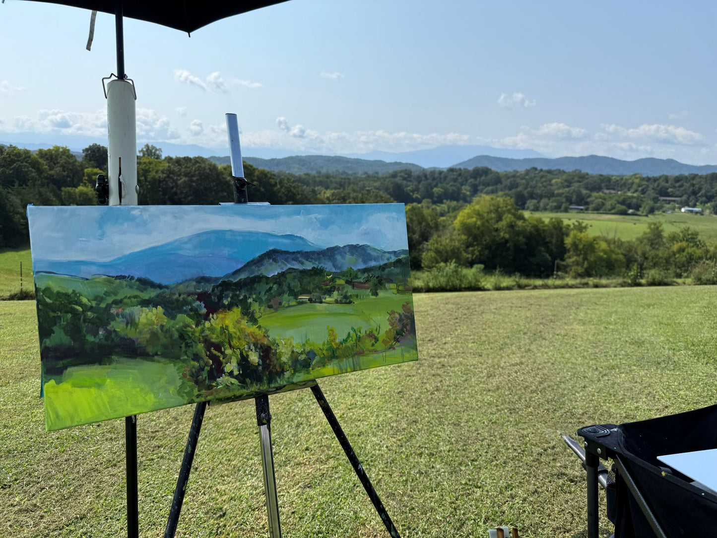 Le Conte in August - Acrylic Painting by artist Charlotte Rollman 12x24