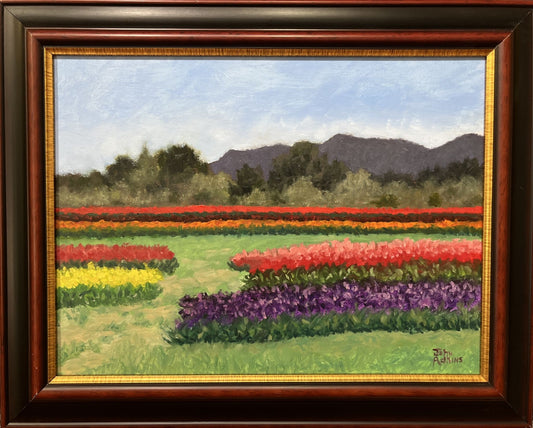 Oakes Farms Tulips - Oil Painting by artist John Adkins 12x16