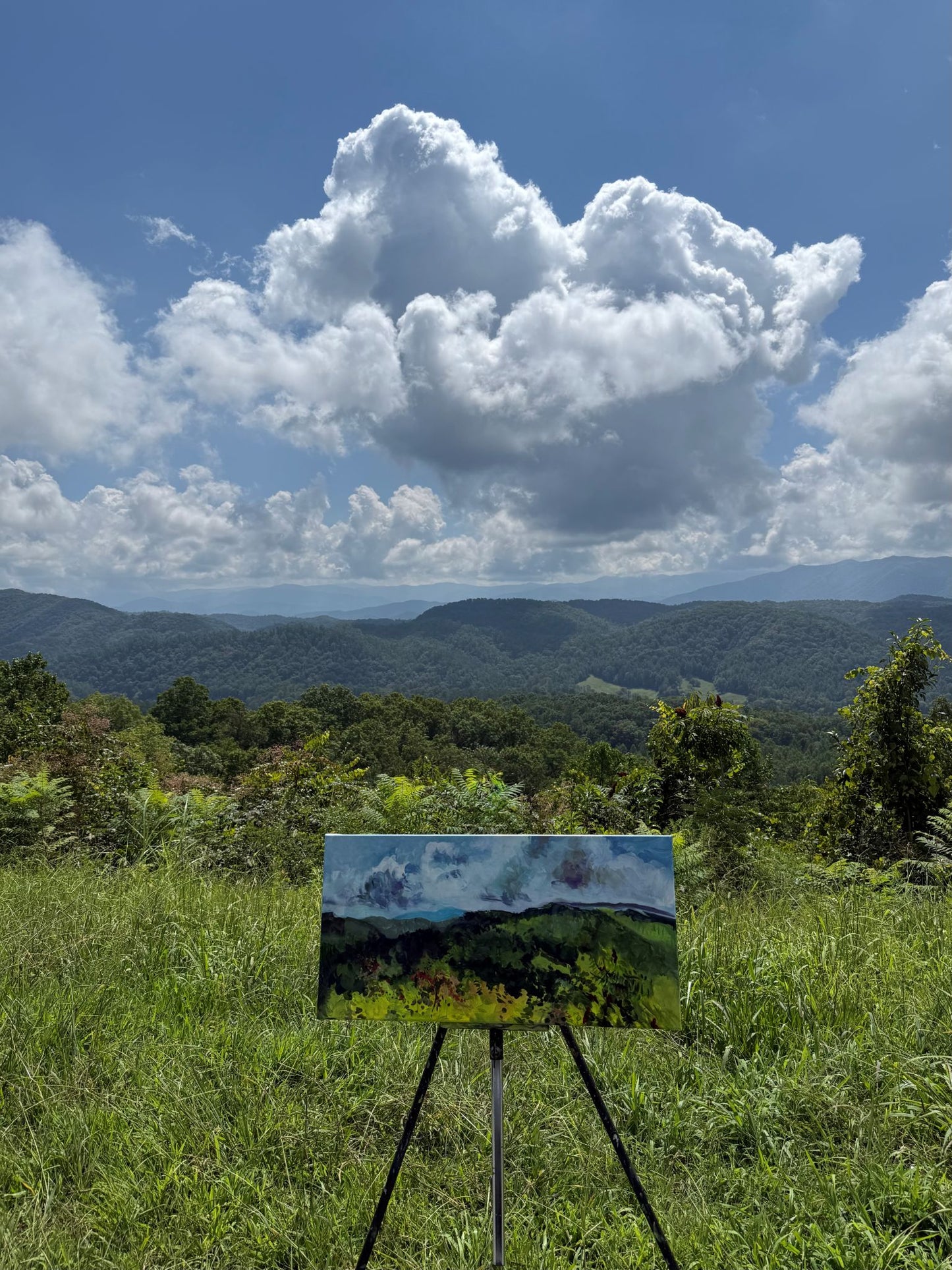 Cloud Shadows - Acrylic Painting by artist Charlotte Rollman 12x24