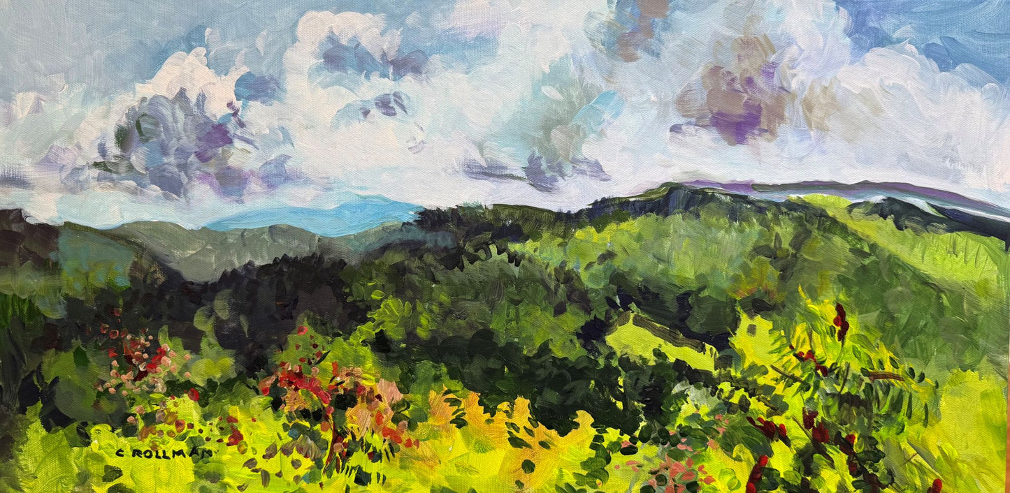 Cloud Shadows - Acrylic Painting by artist Charlotte Rollman 12x24